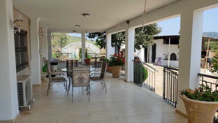 Mallios Country House Near Ολυμπία Εξωτερικό φωτογραφία