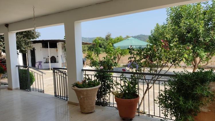 Mallios Country House Near Ολυμπία Εξωτερικό φωτογραφία