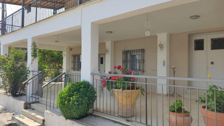 Mallios Country House Near Ολυμπία Εξωτερικό φωτογραφία