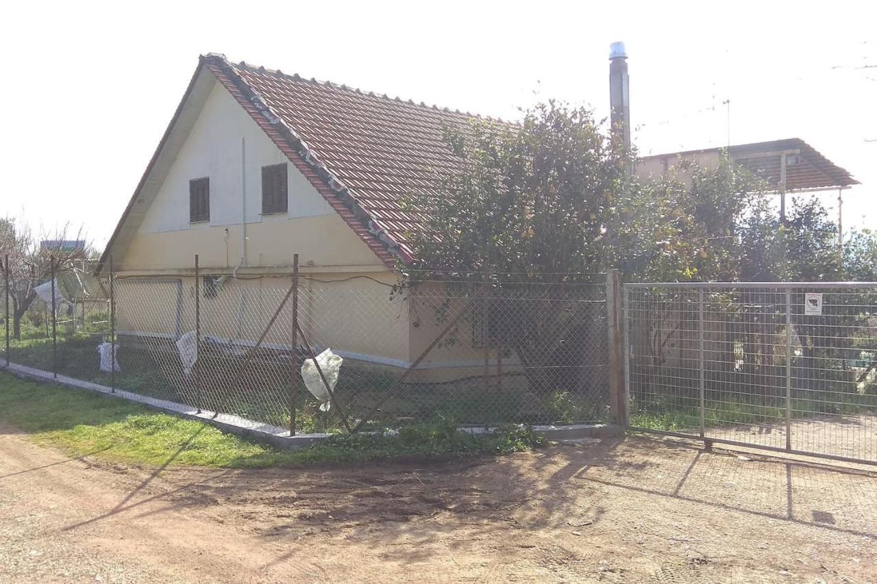Mallios Country House Near Ολυμπία Εξωτερικό φωτογραφία