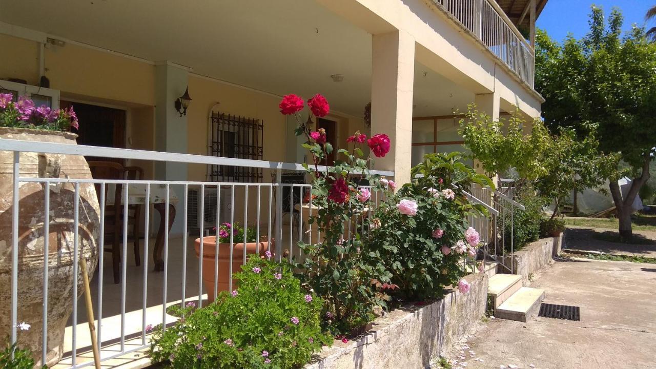 Mallios Country House Near Ολυμπία Εξωτερικό φωτογραφία